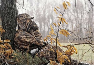 Coyote Calling Tips